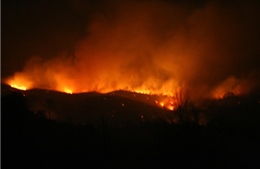 Hỏa hoạn thiêu rụi 200 hecta rừng phòng hộ